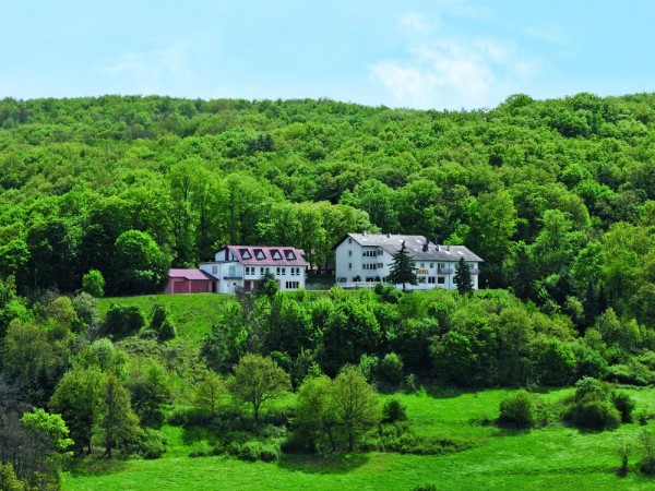 Burghotel Obermoschel