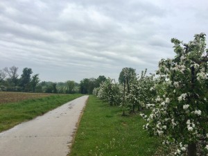 Kasteelhoeve de Kerckhem Posts | Facebook Kasteelhoeve de Kerckhem Posts | Facebook