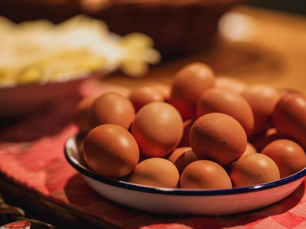 Hotel Cafe Corner House