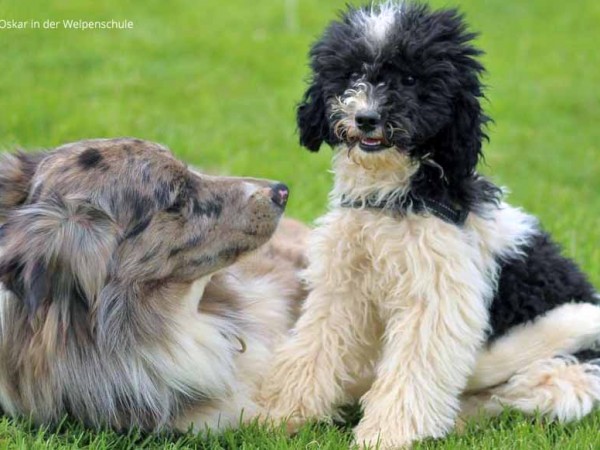 Moselromantikhotel am Panoramabogen