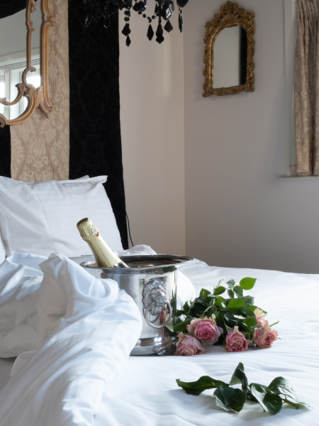 Rosalia’s Menagerie