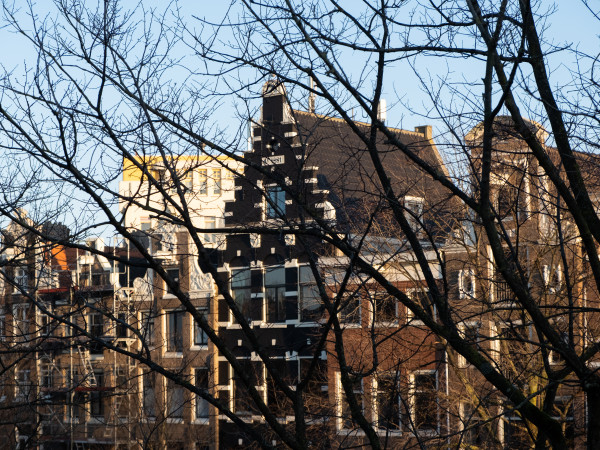 Rosalia’s Menagerie